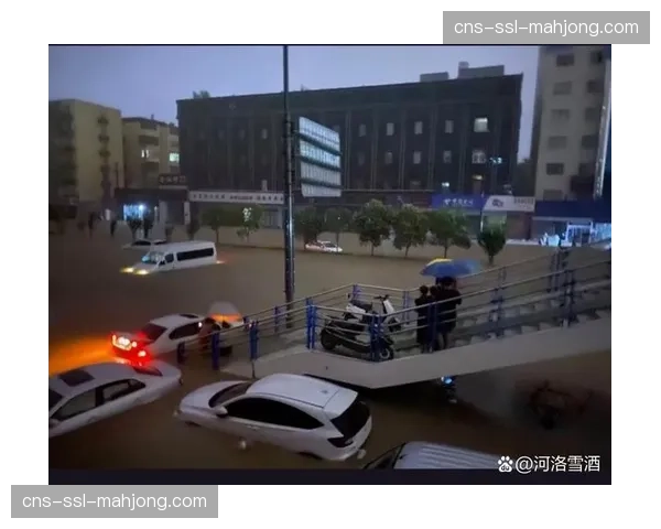 大雨导致场地积水严重,河南vs沧州比赛多次中断 大雨导致场地积水严重,河南vs沧州比赛多次中断